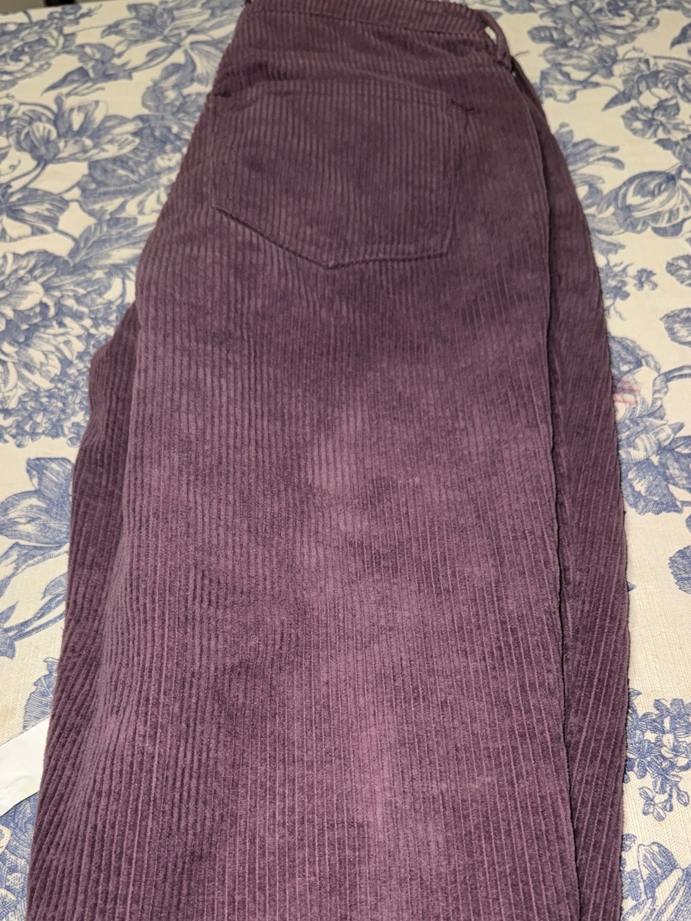 PacSun Plum Corduroy Button-Up Detail